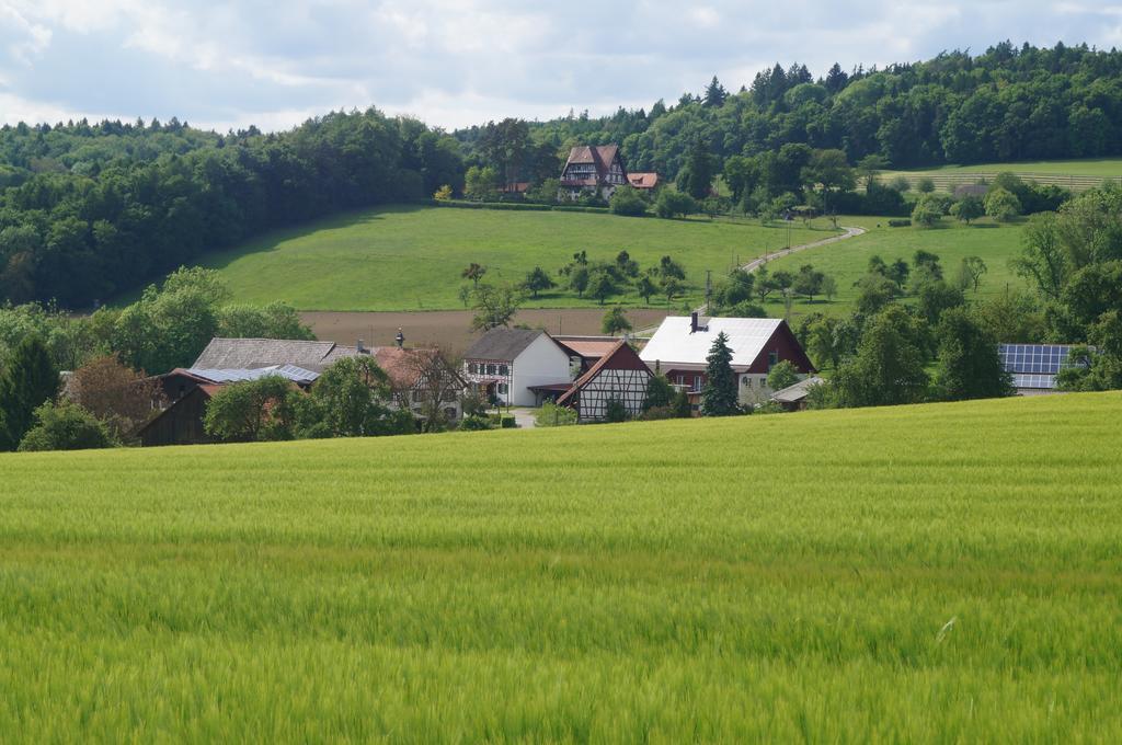 Vila Bolderhof Hemishofen Exteriér fotografie